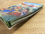 Dragon Quest VIII 8 SONY PS2 Japan - FJ5491
