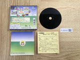 Theme Park SONY PS1 Japan - FJ5500