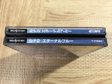 Lunar 2 Eternal Blue SEGA SATURN Japan - FJ5523