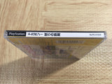 Dokapon! Ikari No Tetsuken SONY PS1 Japan - FJ5554