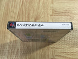 Tail Concerto SONY PS1 Japan - FJ5592