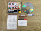 Shining Wisdom SEGA SATURN Japan - FJ5663