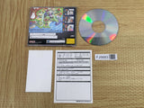 Logic Puzzle Rainbow Town SEGA SATURN Japan - FJ5683