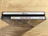 Riglord Saga SEGA SATURN Japan - FJ5724