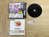 Street Fighter Zero SONY PS1 Japan - FJ5789