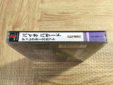 Resident Evil Biohazard Director's Cut SONY PS1 Japan - FJ5817