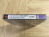 Resident Evil Biohazard Director's Cut Dual Shock SONY PS1 Japan - FJ5818