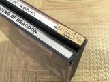 The Legend Of Dragoon SONY PS1 Japan - FJ5945