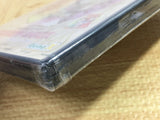 Princess Maker SONY PS2 Japan - FJ6000