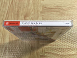 Grandia II 2 SEGA DreamCast Japan - FJ6006