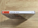 Guilty Gear X SEGA DreamCast Japan - FJ6008