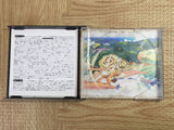 Breath Of Fire 4 SONY PS1 Japan - FJ6012