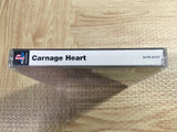 Carnage Heart SONY PS1 Japan - FJ6032