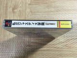 Rival Schools Legion Of Heroes SONY PS1 Japan - FJ6034