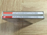 Giant Gram 2000 All-Japan Pro Wrestling 3 SEGA DreamCast Japan - FJ6055