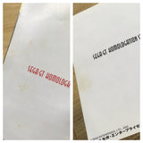 Sega GT Homologation Special SEGA DreamCast Japan - FJ6059