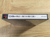 Bastard!! Utsuronaru Kamigami No Utsuwa SONY PS1 Japan - FJ6115