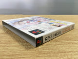 Ready Maid SONY PS1 Japan - FJ6176