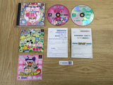 Momotarou Densetsu V Limited Edition SONY PS1 Japan - FJ6285