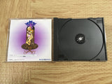 Sword and Sorcery SATAKORE SEGA SATURN Japan - FJ6365