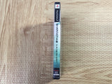 Ace Combat 5 The Unsung War SONY PS2 Japan - FJ6381