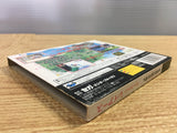Mahou Kishi Rayearth First Limited W Premium SEGA SATURN Japan - FJ6414
