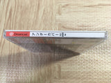 Undercover AD2025 Kei SEGA DreamCast Japan - FJ6500