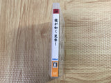 Yakuza Kenzan SONY PS3 Japan - FJ6544