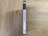 Virtua Fighter 4 SONY PS2 Japan - FJ6587