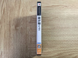 Ryuu Ga Gotoku 2 SONY PS2 Japan - FJ6588