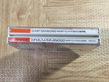 Giant Gram 2000 All-Japan Pro Wrestling 3 SEGA DreamCast Japan - FJ6624