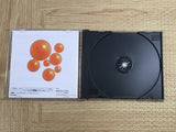 Dragon Ball Z Idainaru Dragon Ball Densetsu SEGA SATURN Japan - FJ6661