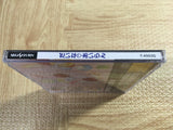 Daina Airan SEGA SATURN Japan - FJ6787