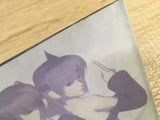 Dead or Alive 2 SEGA DreamCast Japan - FJ6827