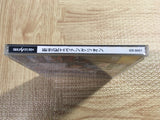 Neon Genesis Evangelion SEGA SATURN Japan - FJ7024