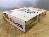 Sakura Taisen B type special limited edition SEGA SATURN Japan - FJ7186