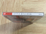 Jet Set Radio SEGA DreamCast Japan - FJ7238