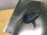 Ecco the Dolphin Defender of the Future SEGA DreamCast Japan - FJ7247