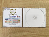 Jojo's Bizarre Adventure Heritage ForTheFuture SEGA DreamCast Japan - FJ7251