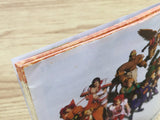 Riglord Saga 2 SEGA SATURN Japan - FJ7274