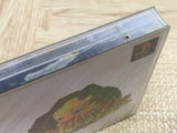 Chocobo No Fushigi Dungeon SONY PS1 Japan - FJ7503