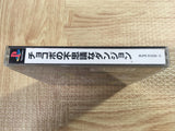 Chocobo No Fushigi Dungeon SONY PS1 Japan - FJ7503