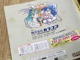 Vampire Hunter Night Warriors Darkstalkers SEGA SATURN Japan - FJ7569