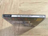 Virtua Fighter SEGA SATURN Japan - FJ7579