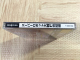 Super Robot Taisen Wars F Kanketsuhen SEGA SATURN Japan - FJ7603
