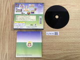 Theme Park Playstation The Best SONY PS1 Japan - FJ7616