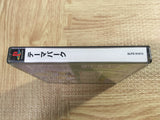 Theme Park Playstation The Best SONY PS1 Japan - FJ7616
