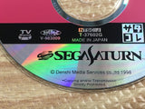 Techno Motor SATAKORE SEGA SATURN Japan - FJ7699