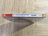 Marvel vs. Capcom 2 New Age of Heroes SEGA DreamCast Japan - FJ7731