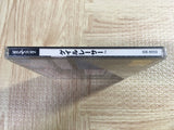 Gale Racer SEGA SATURN Japan - FJ7935